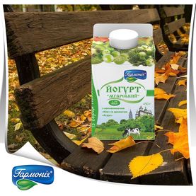 Йогурт «Мгарський» Ківі-Аґрус 450г. 2,2%