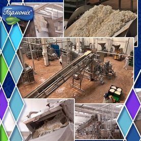 Цех виготовлення сиру кисломолочного