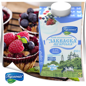 Закваска «Мгарська» Лісові ягоди 2,5% жиру, 450г.